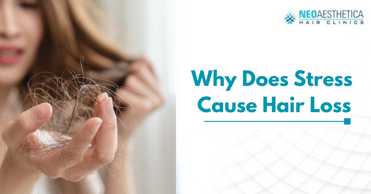 why stress cause hair loss